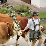 Alpenhof 3* Wallgau
